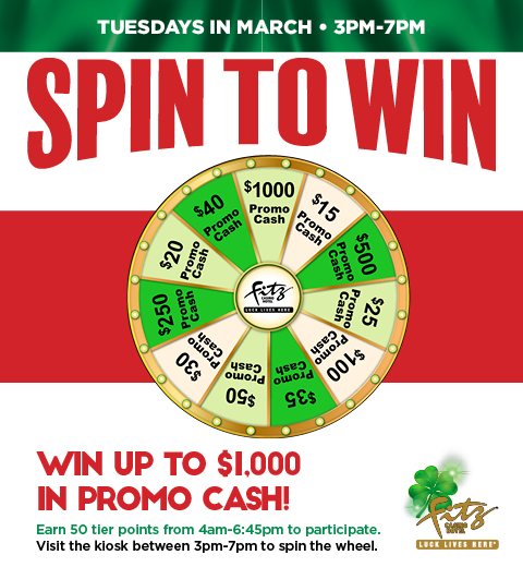Fz31602 Spin to Win March 480X520 Dgtl