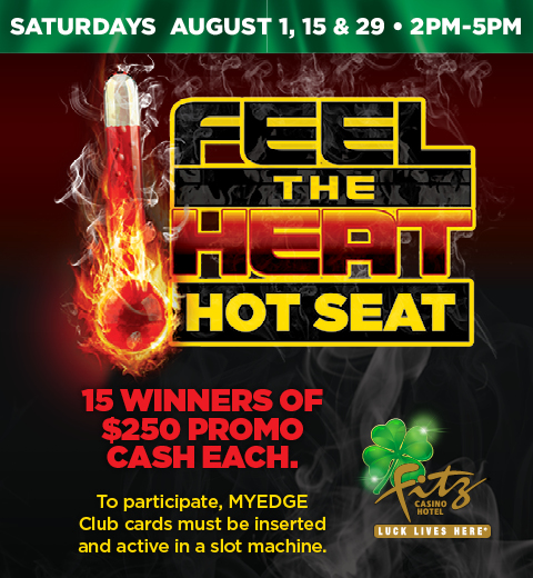 Fz35764 Feel the Heat Hot Seat Aug 480X520 Dgtl
